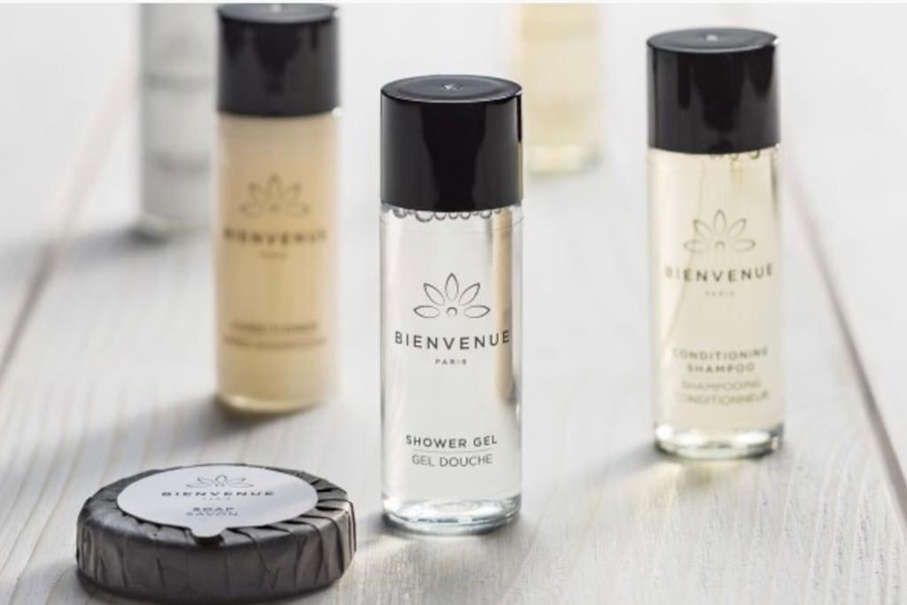 Apartment Paris, Tour Eiffel, Champs Elysees Paris